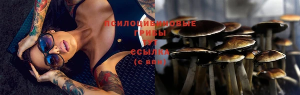 синтетический гашиш Козловка
