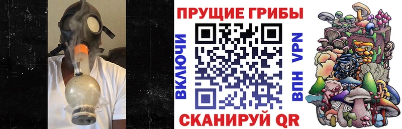 где можно купить   Мамадыш  Галлюциногенные грибы ЛСД 